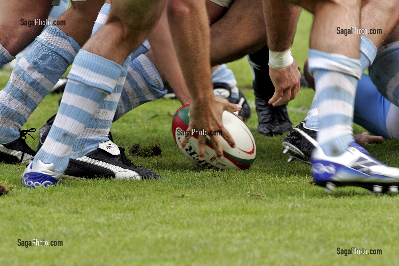 RENCONTRE DE RUGBY, AVIRON BAYONNAIS/ PAU, PAYS BASQUE, COTE BASQUE, BAYONNE, PYRENEES-ATLANTIQUE (64), FRANCE 