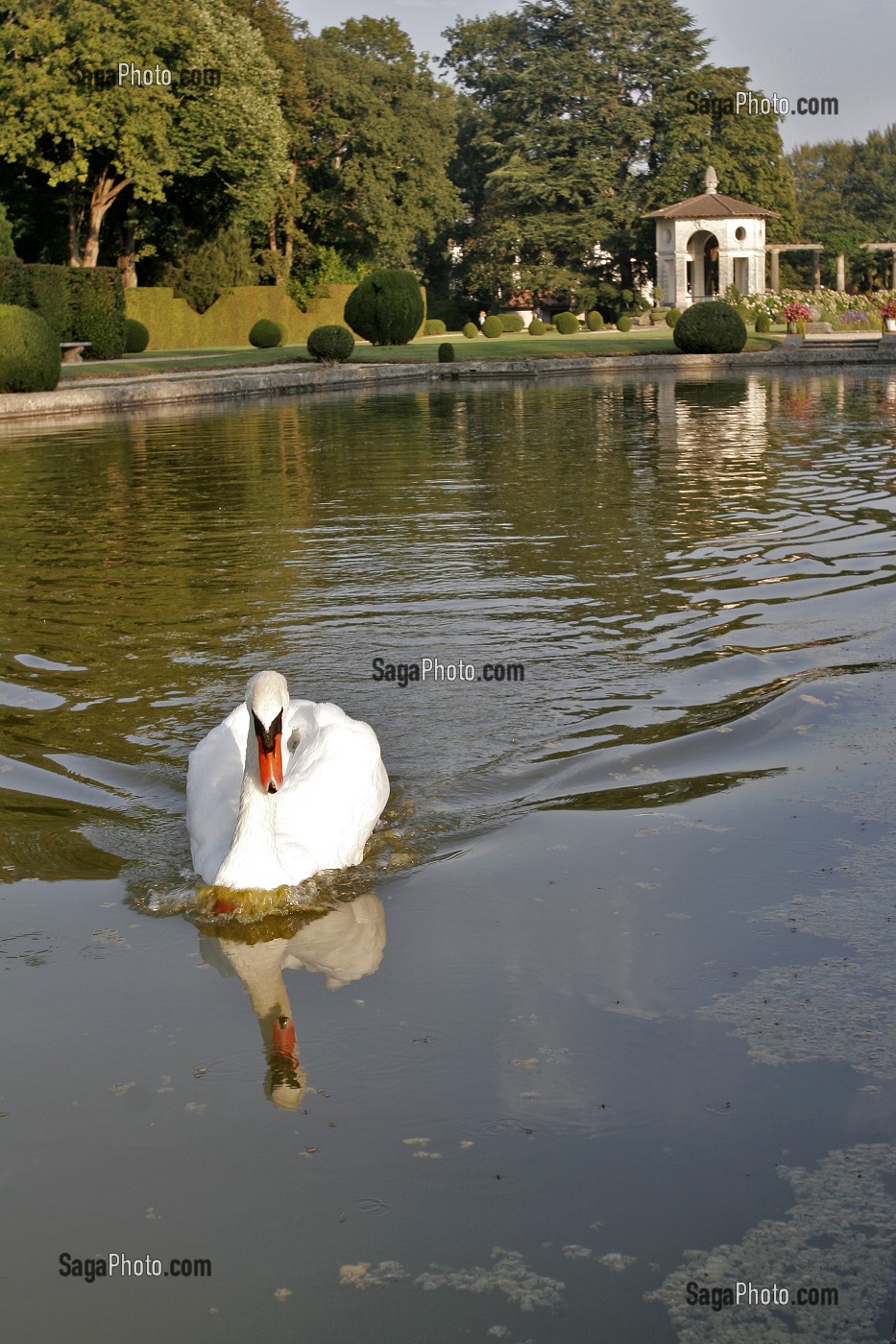 JARDIN DE LA VILLA ARNAGA, CELEBRE DEMEURE D'EDMOND ROSTAND, CAMBO-LES-BAINS, PYRENEES ATLANTIQUES, (64), FRANCE PAYS BASQUE, COTE BASQUE 