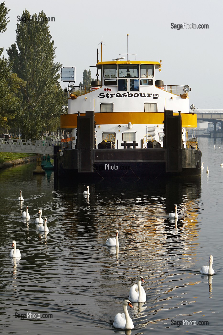 CYGNES, NAVISCOPE ALSACE, MUSEE DU RHIN ET DE LA NAVIGATION, QUAI DES BELGES, STRASBOURG, BAS RHIN (67), ALSACE, FRANCE, EUROPE 