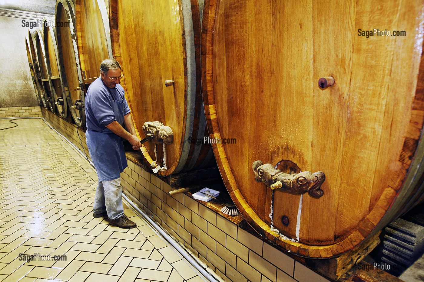 CAVE DOMAINE ROLLY GASSMANN, RORSCHWIHR, ROUTE DES VINS D'ALSACE, HAUT-RHIN (68), ALSACE, FRANCE 