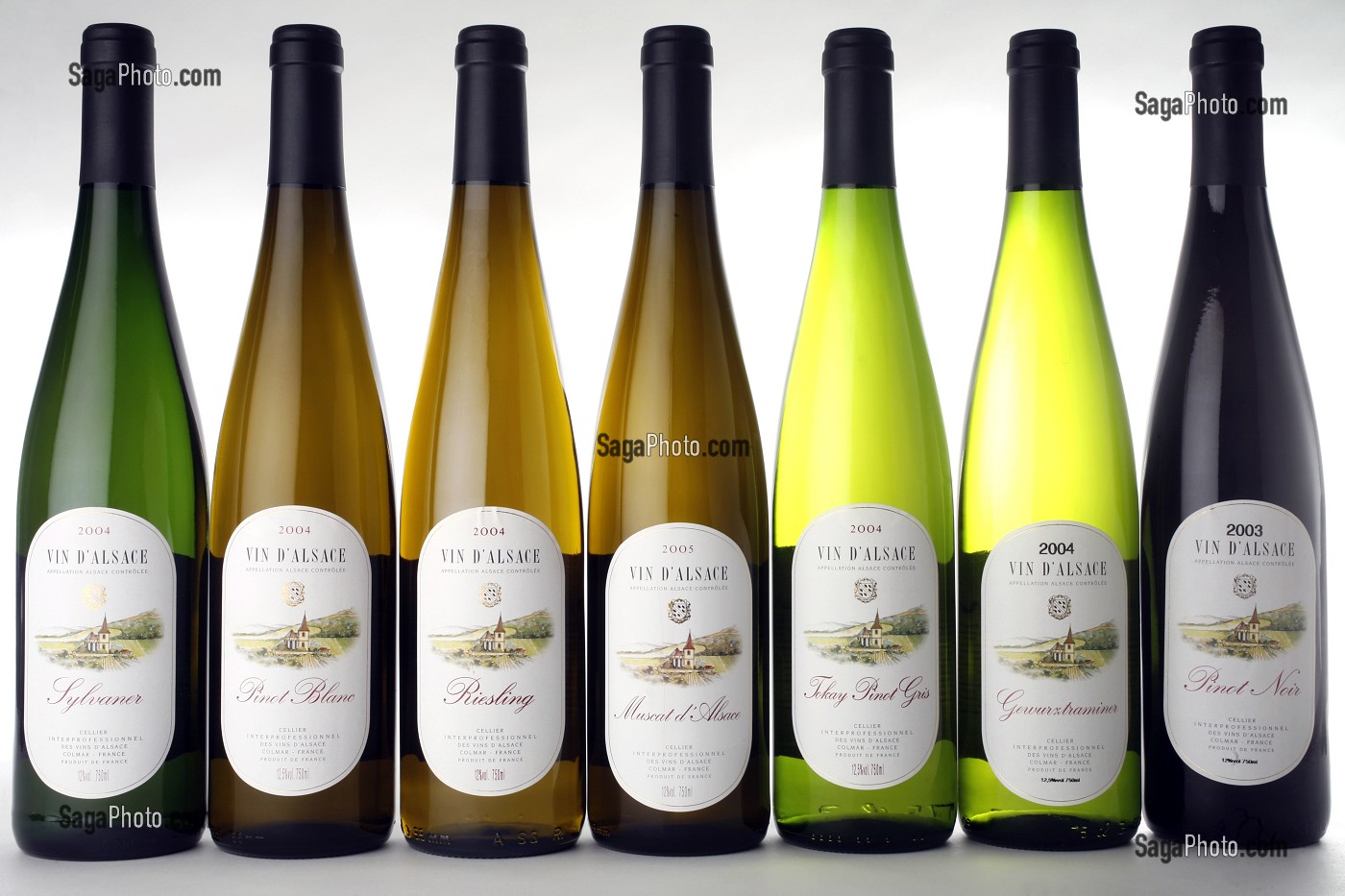 SEPT CEPAGES DES VINS D'ALSACE, HAUT-RHIN (68), ALSACE, FRANCE 