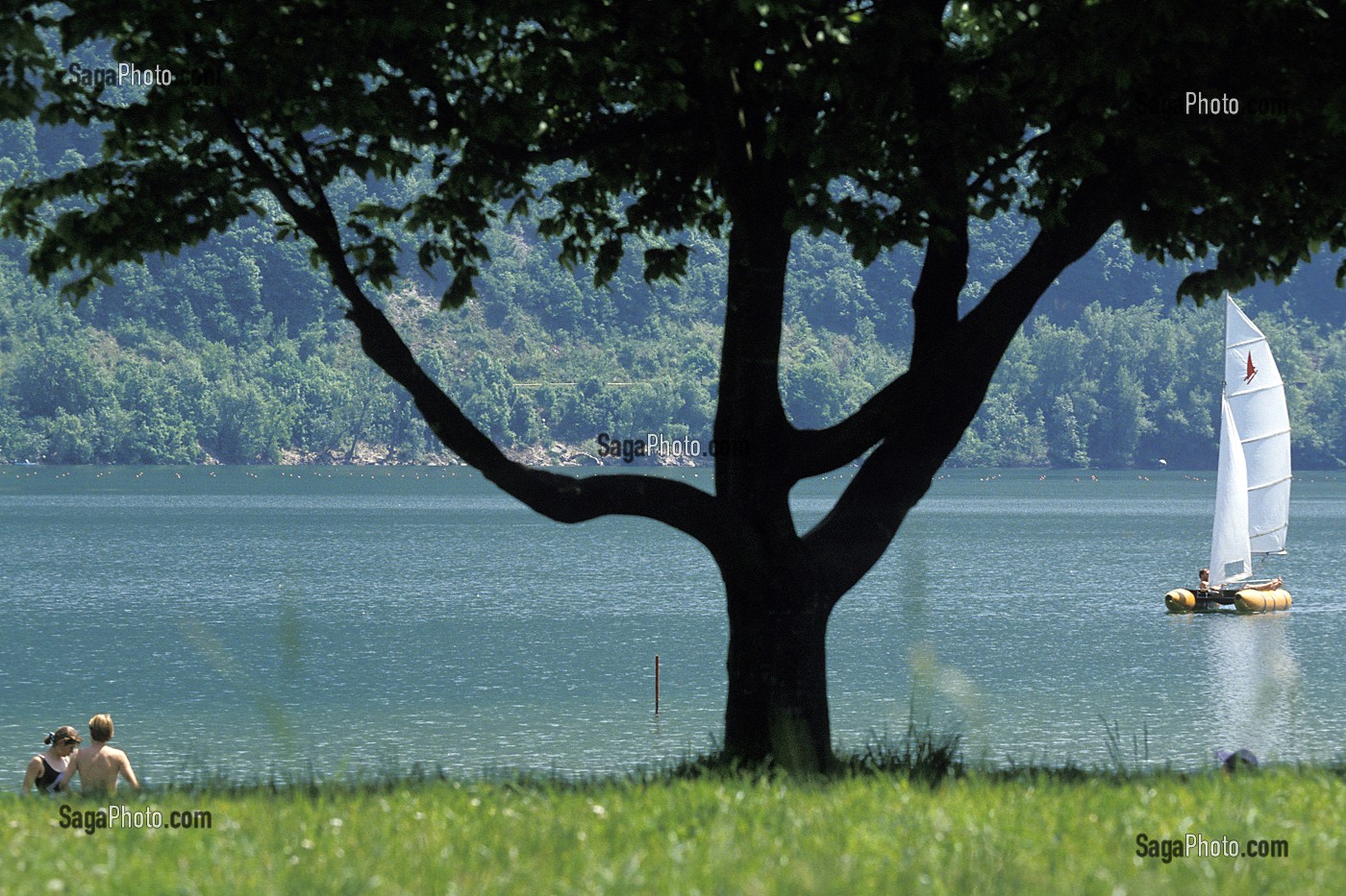 BAIGNADE ET VOILE, LAC D'AIGUEBELETTE, SAVOIE (73), FRANCE 