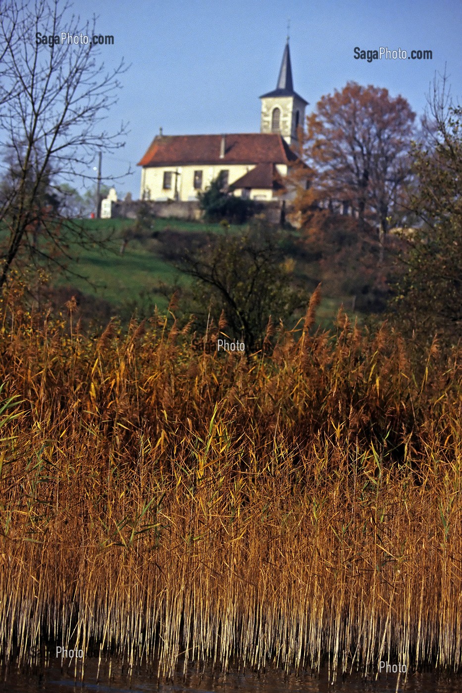 EGLISE DE ST ALBAN-DE-MONTBEL, LAC D'AIGUEBELETTE, SITE PROTEGE, SAVOIE (73), FRANCE 