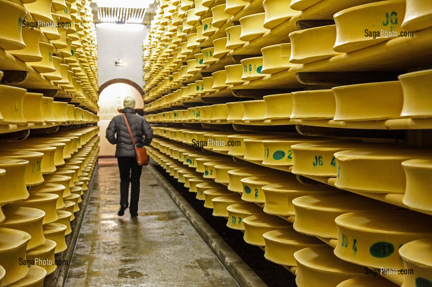 VISITE D'UNE CAVE D'AFFINAGE DU FROMAGE BEAUFORT, COOPERATIVE DE BEAUFORT, SAVOIE (73), FRANCE 