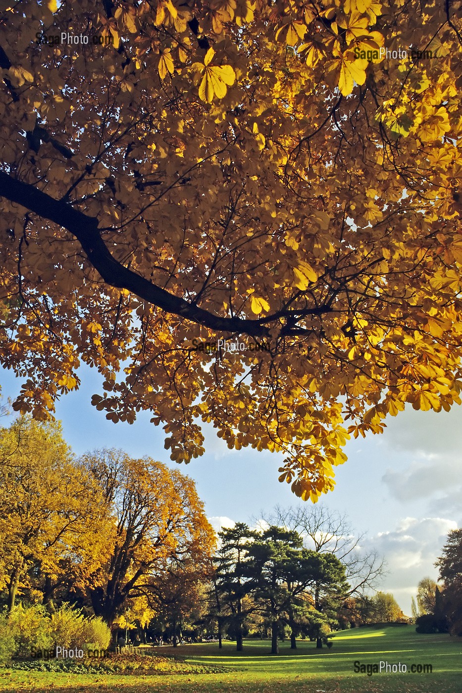 PARC MONTSOURIS, 13 EME ARRONDISSEMENT, PARIS (75), FRANCE 
