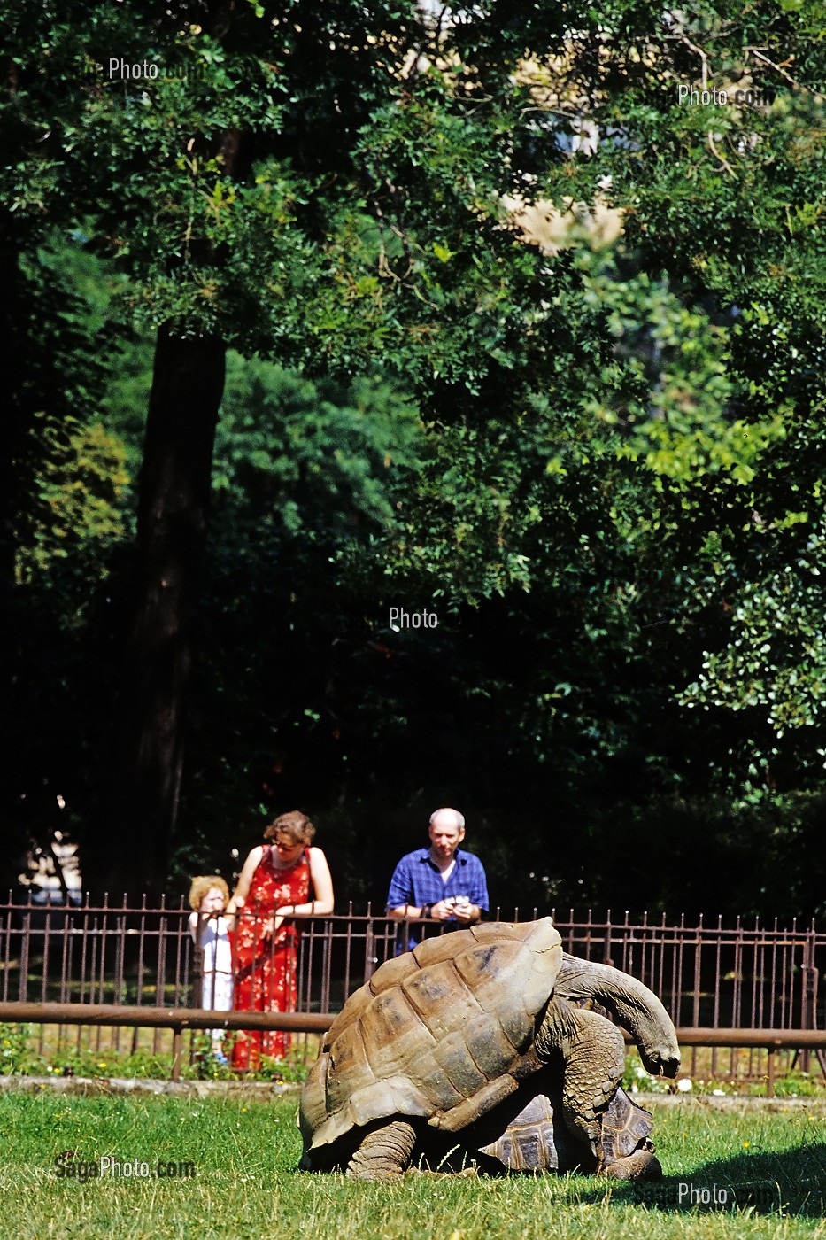 JARDIN DES PLANTES, PARIS (75), FRANCE 