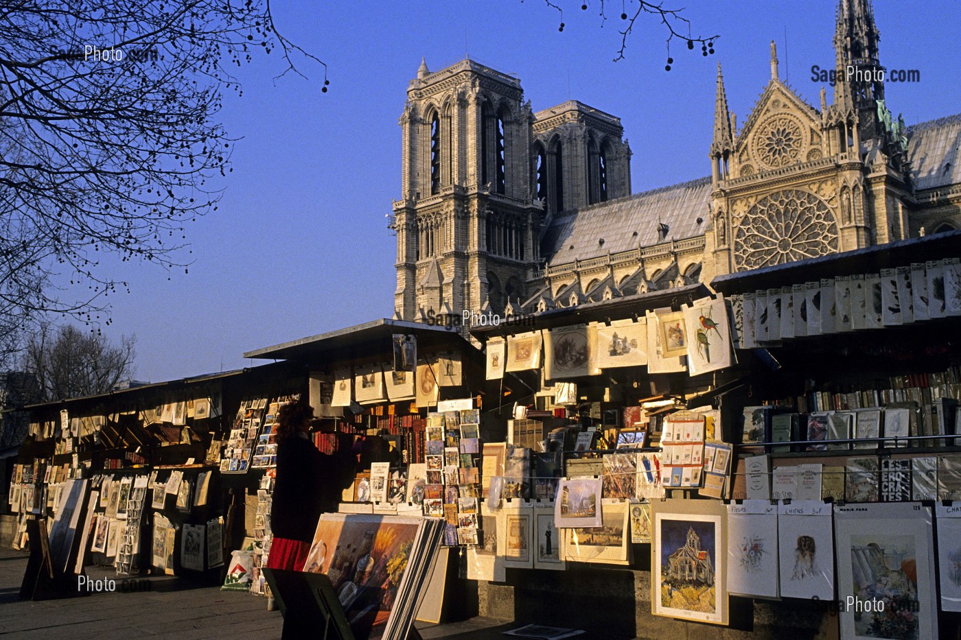 BOUQUINISTES ET CATHEDRALE NOTRE DAME DE PARIS, PARIS, FRANCE 