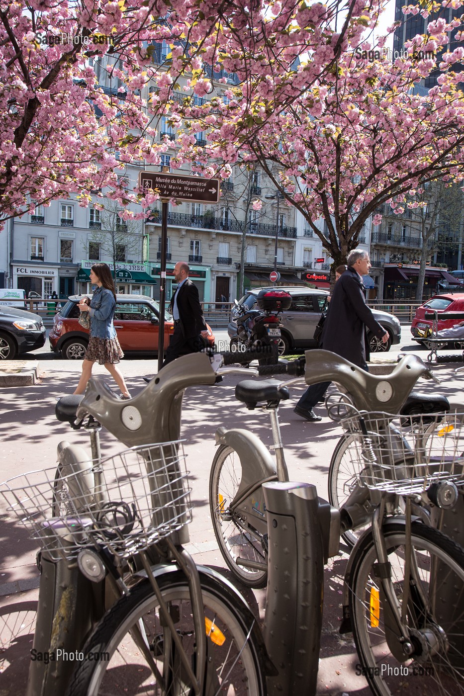 STATION DE LOCATION DE VELOS VELIB DEVANT DES CERISIERS FLEURS, QUARTIER DE MONTPARNASSE, AVENUE DU MAINE, PARIS 15EME, FRANCE 