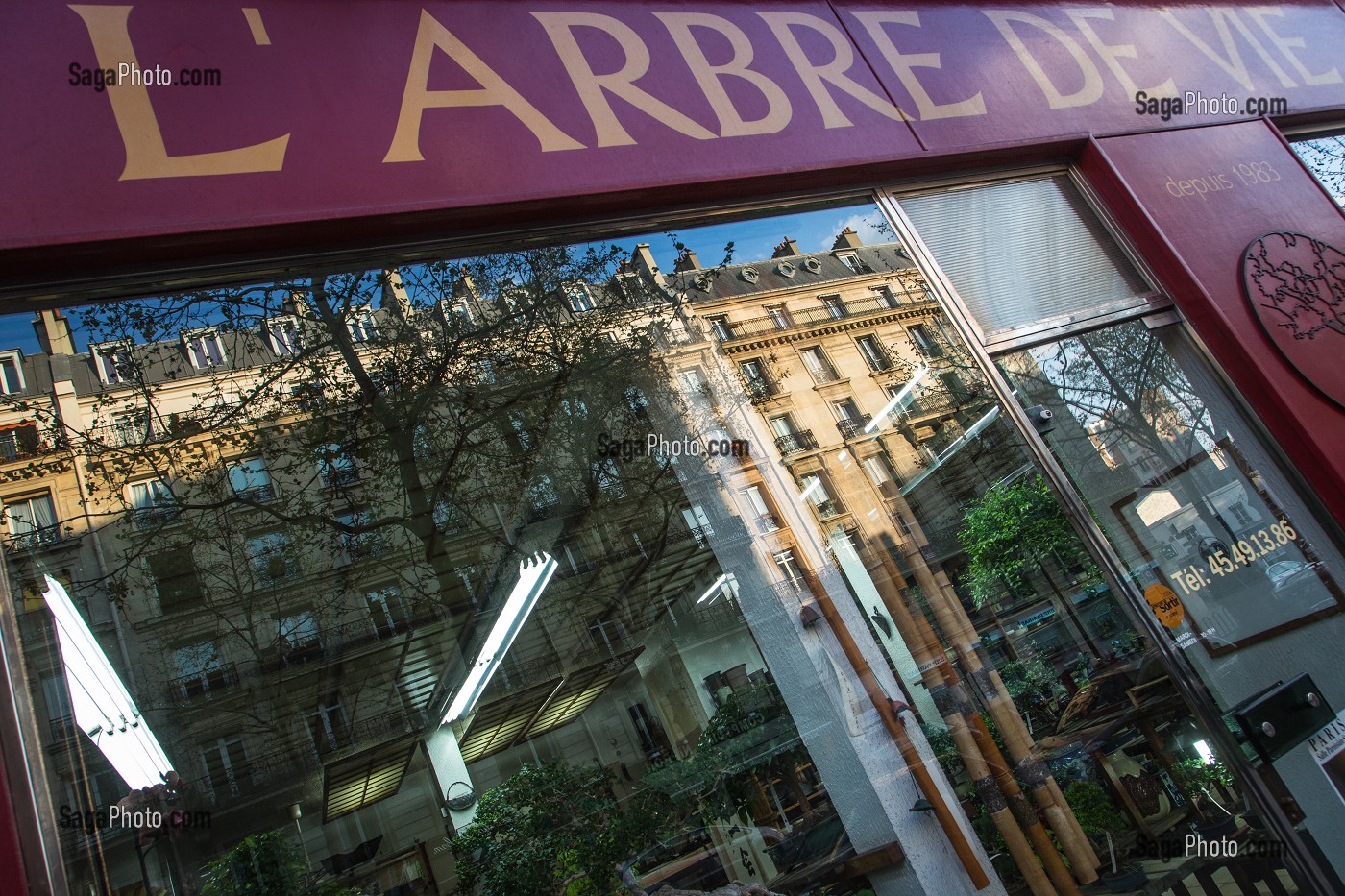 VITRINE DU MAGASIN L'ARBRE DE VIE, QUARTIER DE MONTPARNASSE, 14EME ARRONDISSEMENT, PARIS, FRANCE 