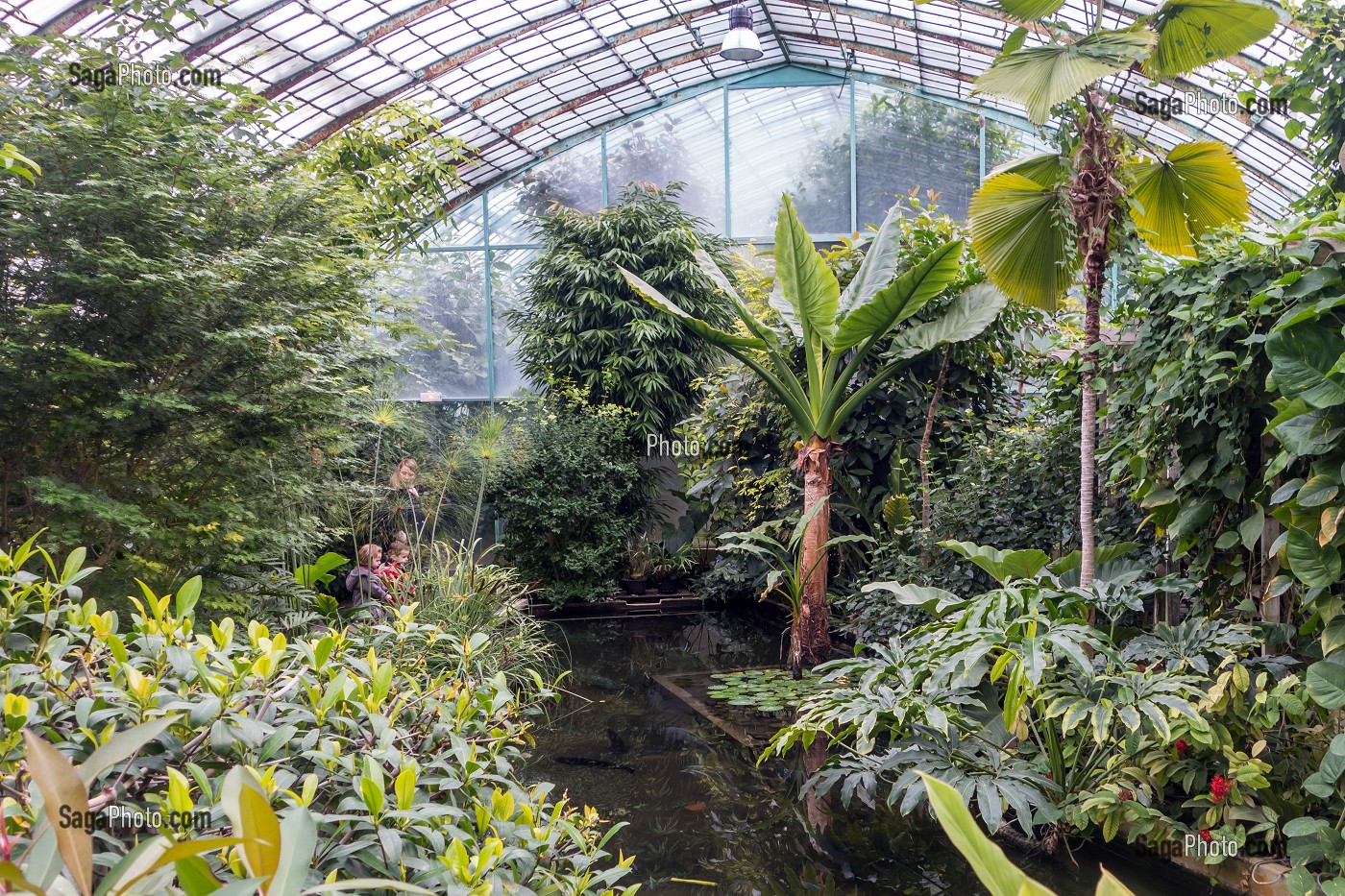 JARDIN TROPICAL DE LA GRANDE SERRE, JARDIN BOTANIQUE DES SERRES D'AUTEUIL, CONSTRUIT 1898 PAR L'ARCHITECTE JEAN-CAMILLE FORMIGE, PARIS 