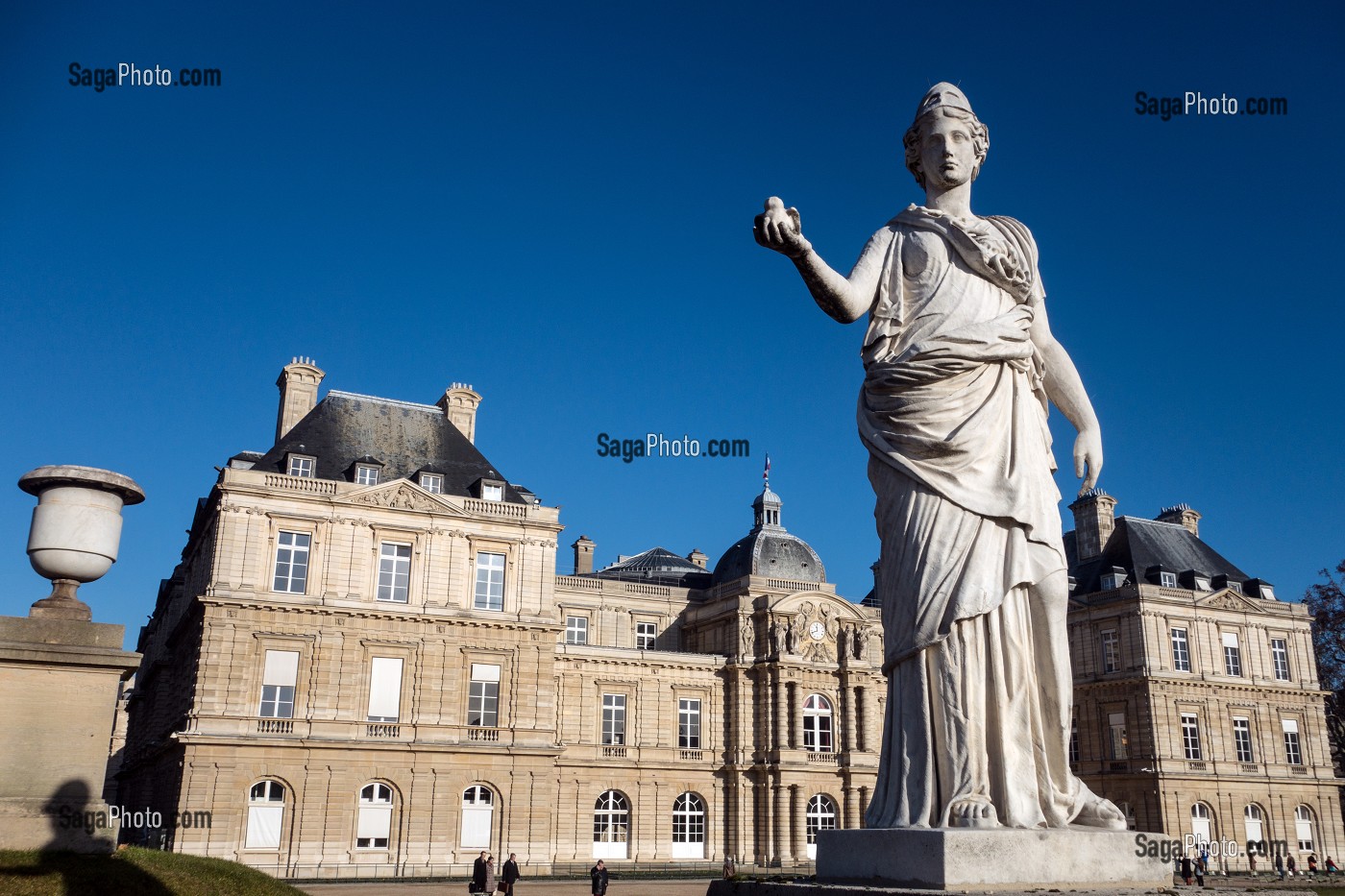 STATUE DE LA MINERVE A LA CHOUETTE DEVANT LE PALAIS DU SENAT, JARDIN DU LUXEMBOURG, PARIS (75), FRANCE 
