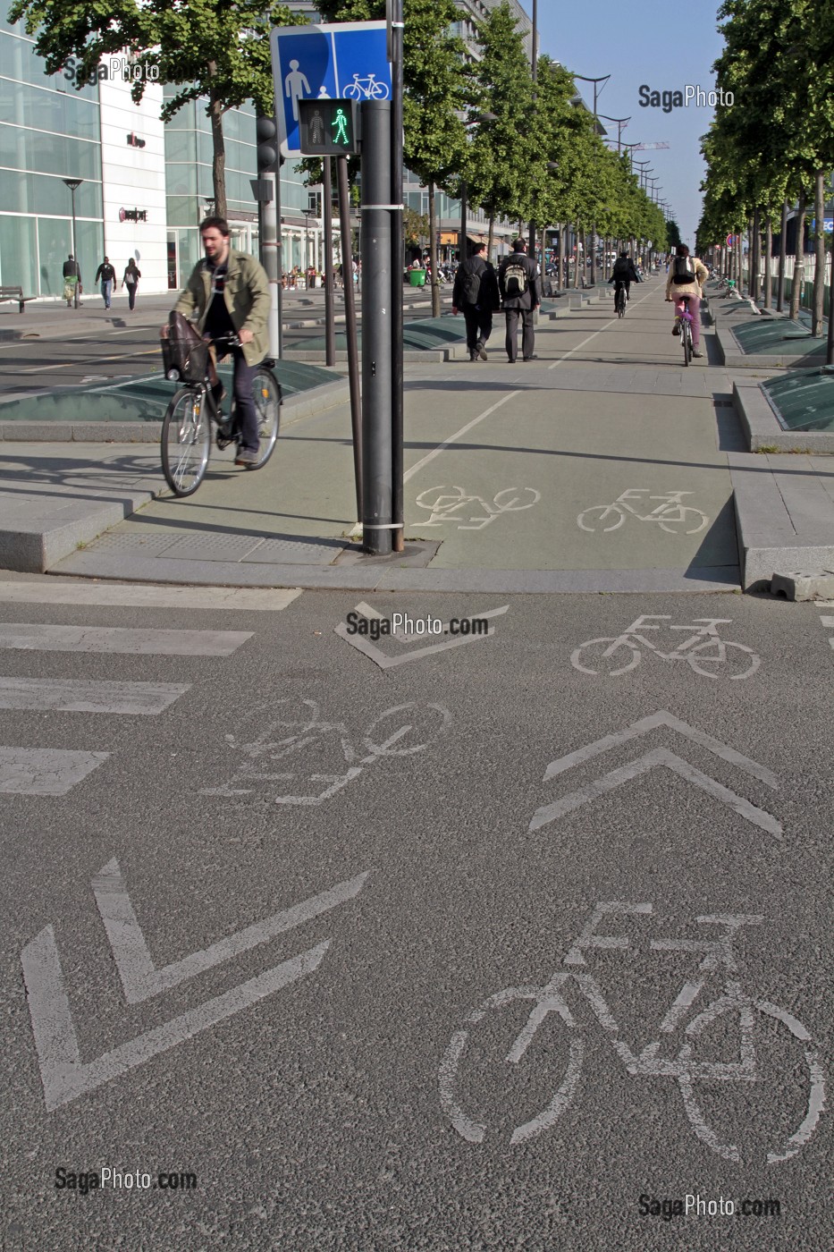 CYCLISTE SUR UNE PISTE CYCLABLE, AVENUE DE FRANCE, PARIS, 13 EME ARRONDISSEMENT, FRANCE 