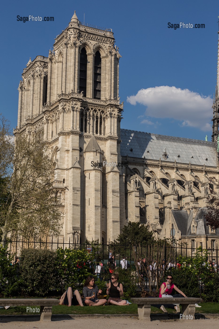 NOTRE-DAME DE PARIS, QUAI MONTEBELLO, SQUARE RENE VIVIANI, PARIS, ILE-DE-FRANCE, FRANCE 