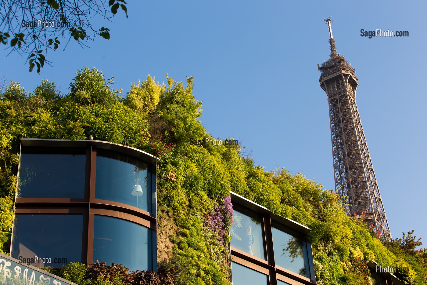 FACADE VEGETALE MUSEE DU QUAI BRANLY, 7 EME ARRONDISSEMENT, PARIS, FRANCE 
