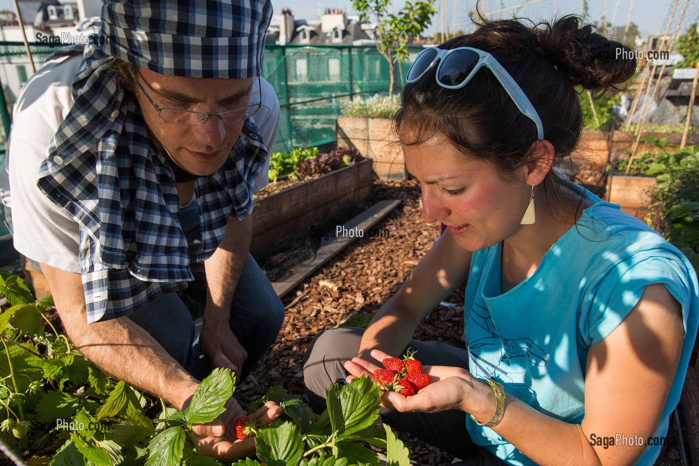 NICOLAS BEL, INGENIEUR ET UNE STAGIAIRE, EXPERIMENTATION DE JARDIN SUR LE TOIT, ECOLE AGROPARISTECH, 5EME ARRONDISSEMENT, PARIS (75), FRANCE 