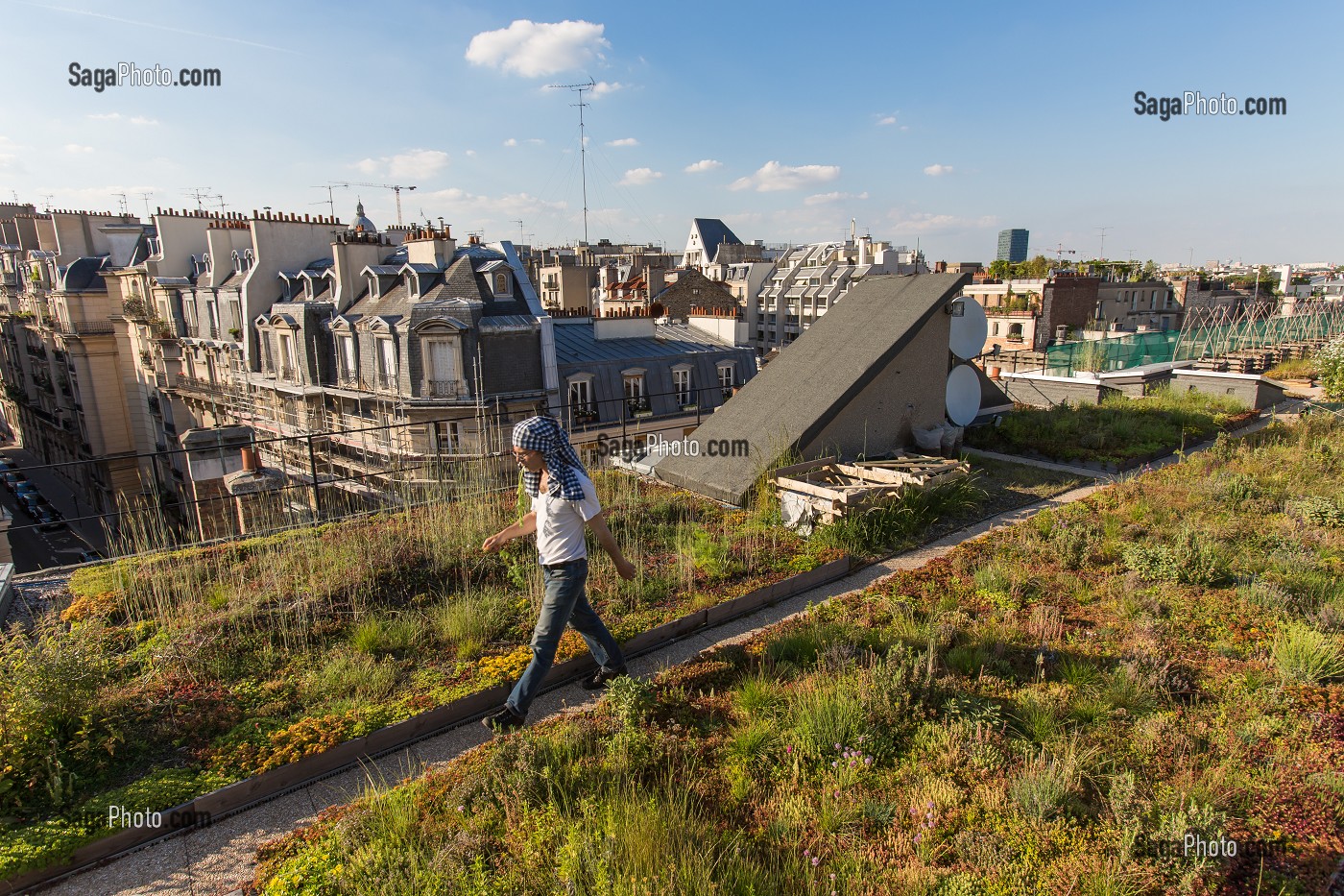 NICOLAS BEL, INGENIEUR, EXPERIMENTATION DE JARDIN SUR LE TOIT, ECOLE AGROPARISTECH, 5EME ARRONDISSEMENT, PARIS (75), FRANCE 