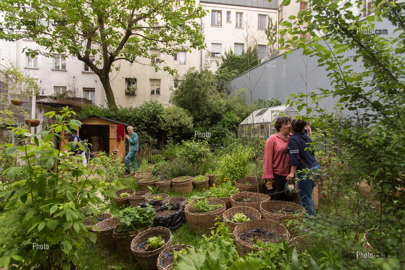 JARDIN DE L'ASSOCIATION L'UNIVERT, QUARTIER DE LA GOUTTE D'OR A BARBES, 18EME ARRONDISSEMENT, PARIS (75), FRANCE 