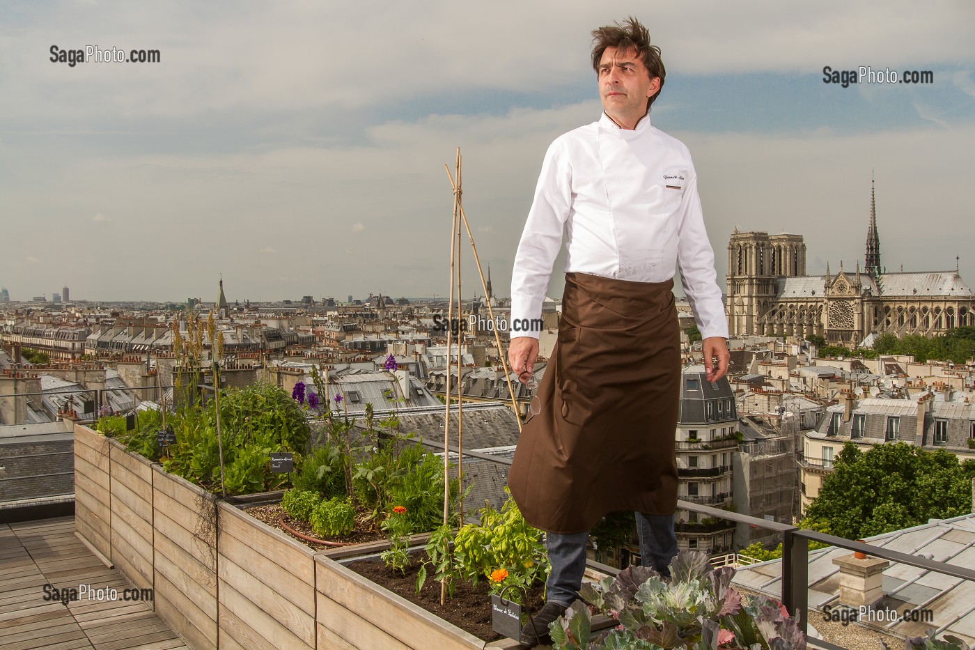 YANNICK ALLENO SUR LE TOIT POTAGER DE SON RESTAURANT LE TERROIR PARISIEN AU 9EME ETAGE DE LA MAISON DE LA MUTUALITE, 5 EME ARRONDISSEMENT, PARIS (75), FRANCE 