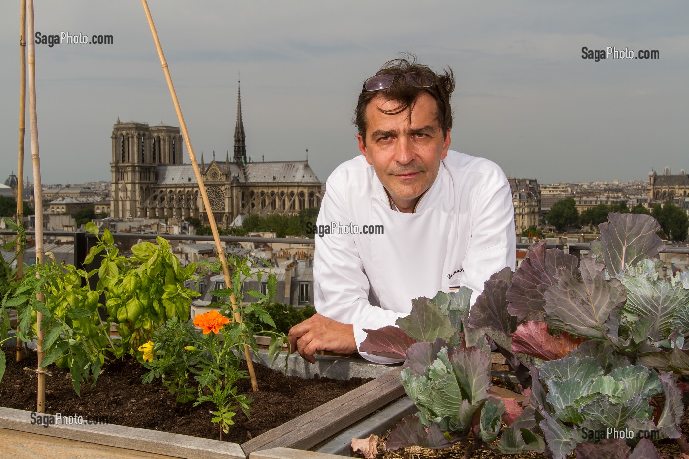 YANNICK ALLENO SUR LE TOIT POTAGER DE SON RESTAURANT LE TERROIR PARISIEN AU 9EME ETAGE DE LA MAISON DE LA MUTUALITE, 5 EME ARRONDISSEMENT, PARIS (75), FRANCE 