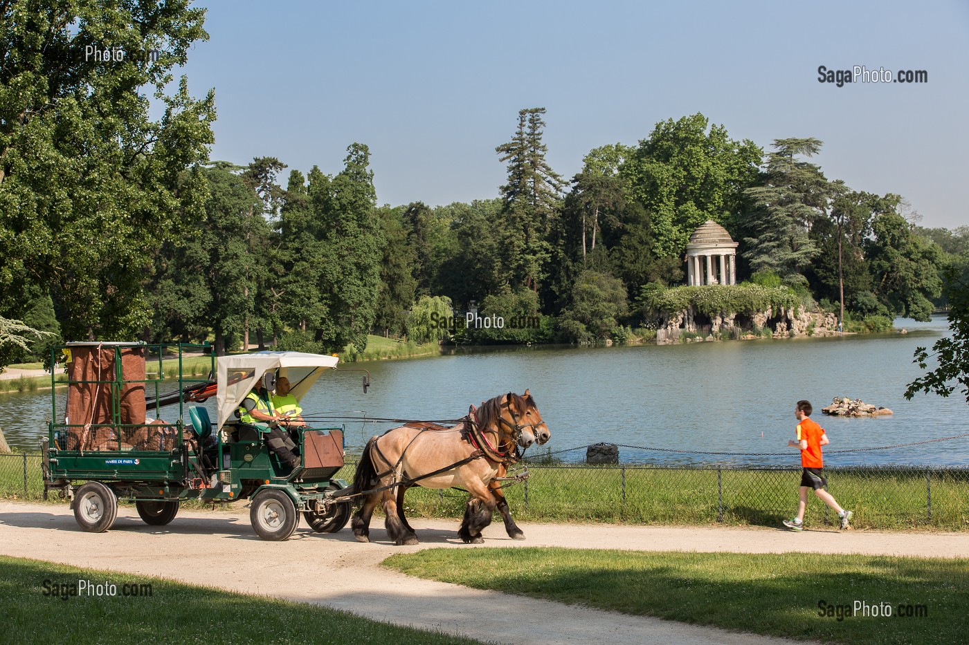 CHEVAUX DE TRAIT EMPLOYES DANS LE BOIS DE VINCENNES POUR EFFECTUER DES TRAVAUX D'ENTRETIEN, 12EME ARRONDISSEMENT, PARIS (75), FRANCE 