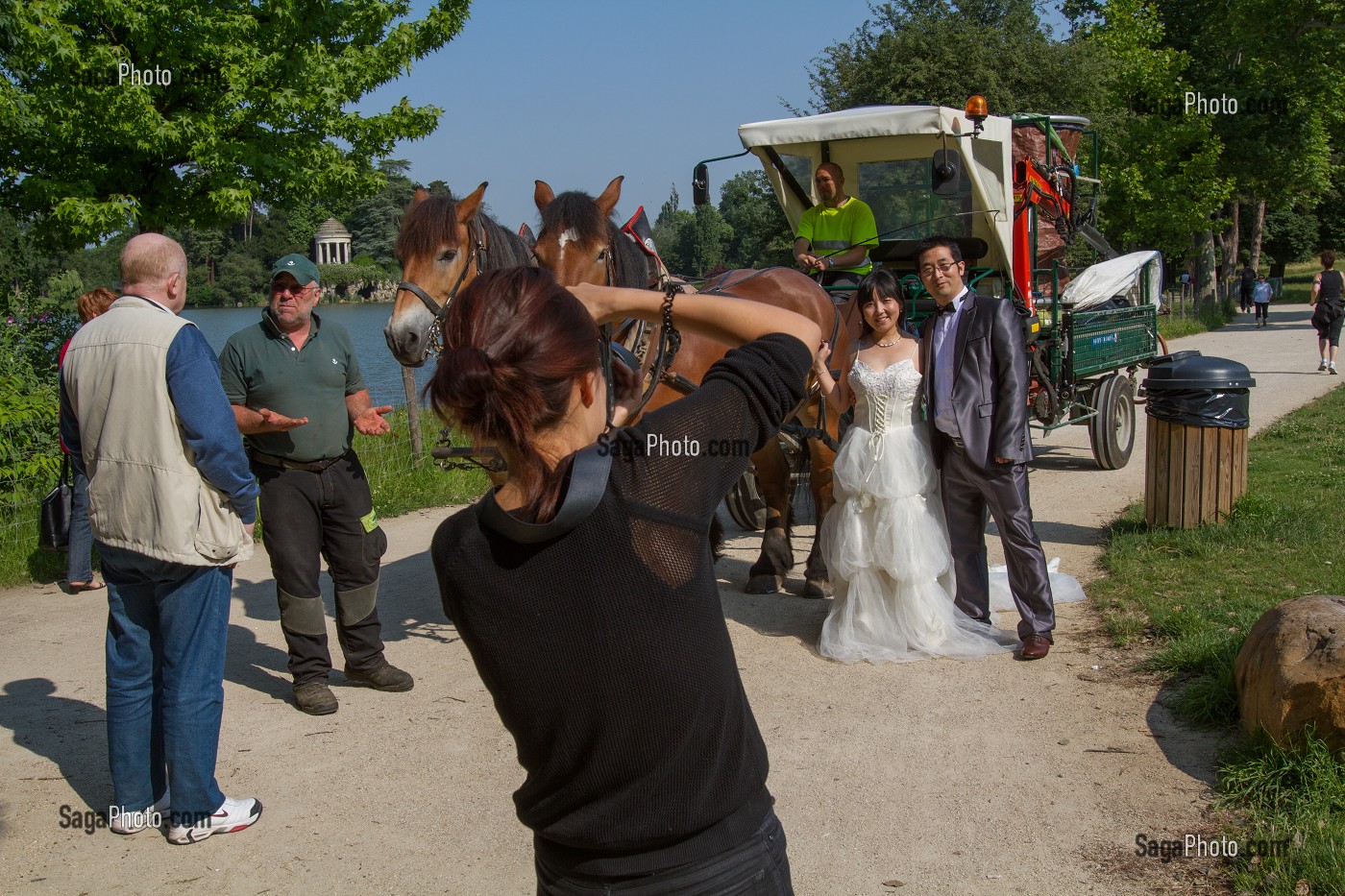CHEVAUX DE TRAIT EMPLOYES DANS LE BOIS DE VINCENNES POUR EFFECTUER DES TRAVAUX D'ENTRETIEN, 12EME ARRONDISSEMENT, PARIS (75), FRANCE 