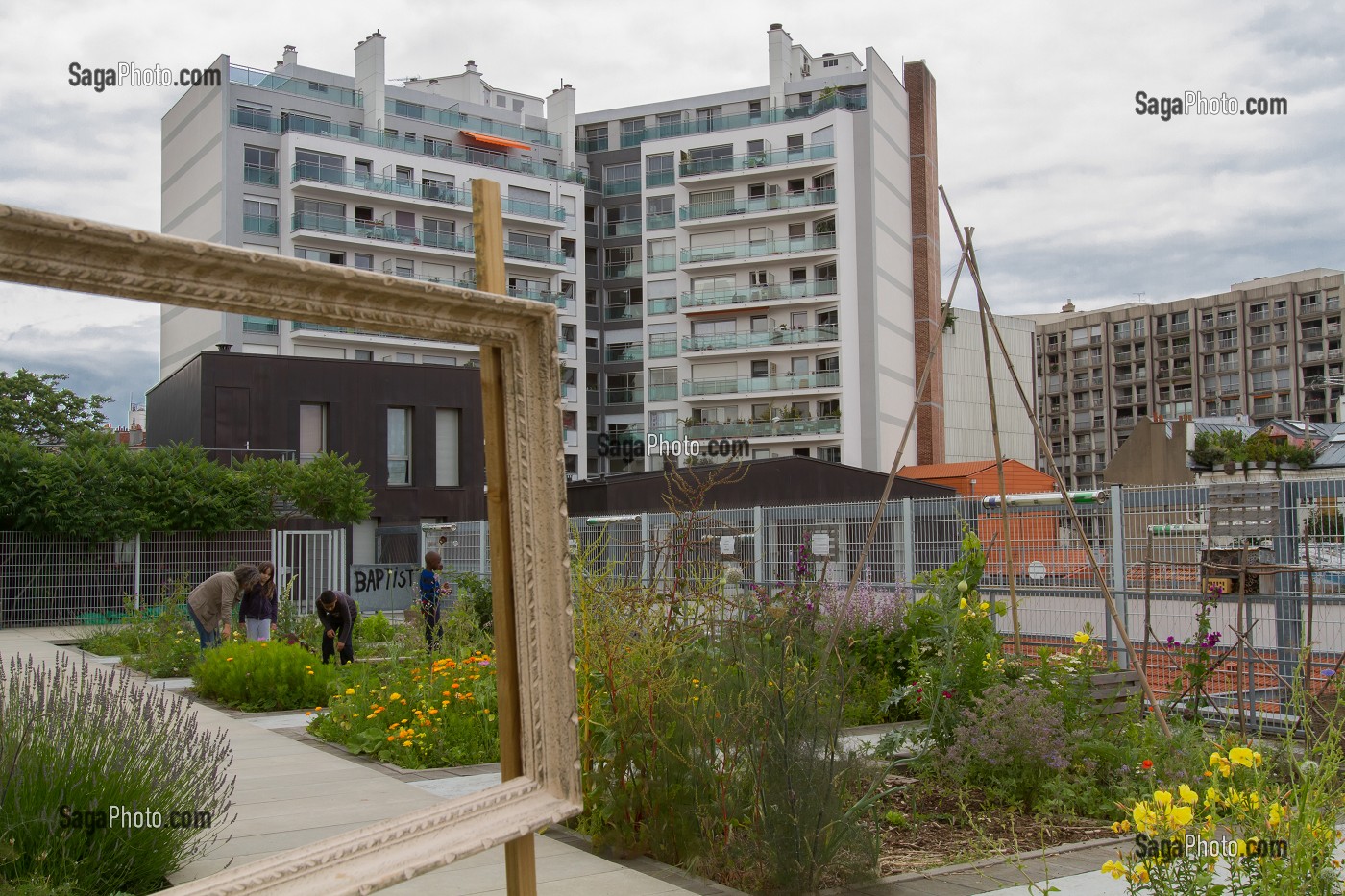 LE JARDIN SUR LE TOIT, LES JARDINS DU BETON, ASSOCIATION ARFOG LAFAYETTE, SUR LE TOIT D'UN GYMNASE, RUE DES HAIES, 20 EME ARRONDISSEMENT, PARIS (75), FRANCE 