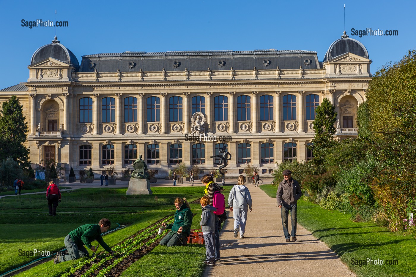 JARDINAGE DANS LE JARDIN DES PLANTES, EN ARRIERE-PLAN LE MUSEUM NATIONAL D'HISTOIRE NATURELLE, 