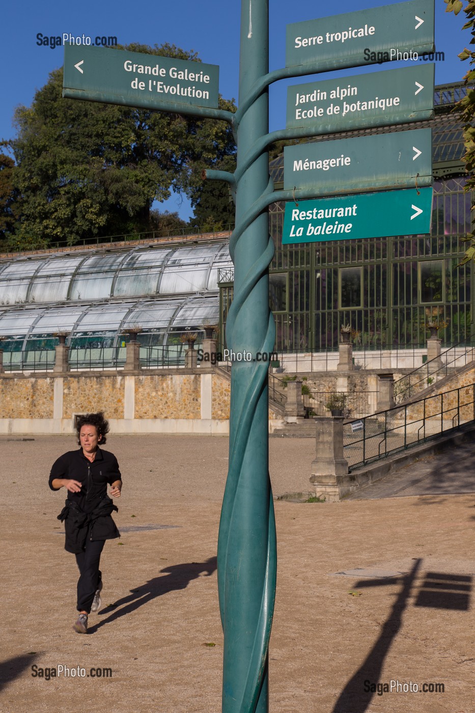 GRANDES SERRES DU JARDIN DES PLANTES, RUE CUVIER, 5 EME ARRONDISSEMENT, PARIS (75), ILE-DE-FRANCE, FRANCE 