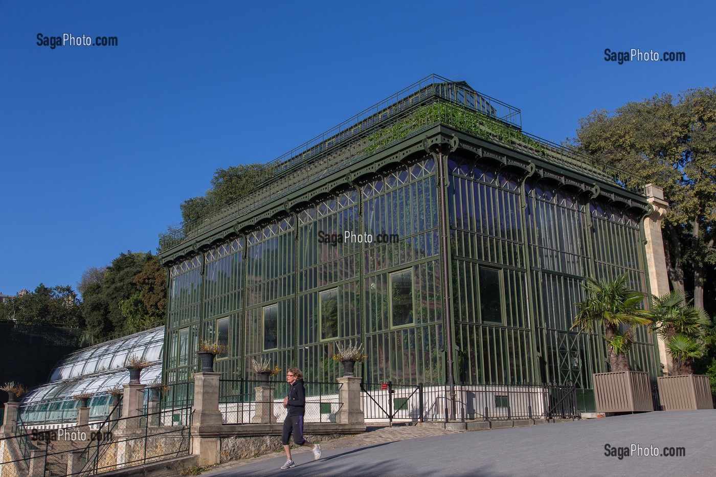 GRANDES SERRES DU JARDIN DES PLANTES, 5 EME ARRONDISSEMENT, PARIS (75), ILE-DE-FRANCE, FRANCE 