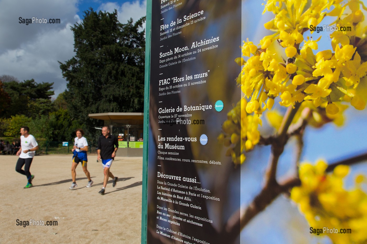 PANNEAU D'INFORMATION ET JOGGERS DANS LE JARDIN DES PLANTES, 5 EME ARRONDISSEMENT, PARIS (75), ILE-DE-FRANCE, FRANCE 