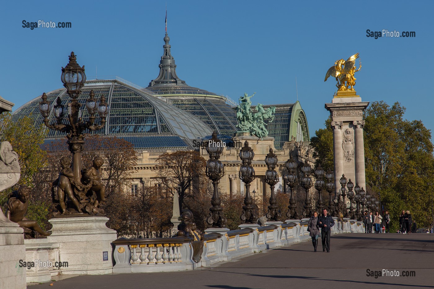 PONT ALEXANDRE III ET GRAND PALAIS, 8 EME ARRONDISSEMENT, PARIS (75), ILE-DE-FRANCE, FRANCE 