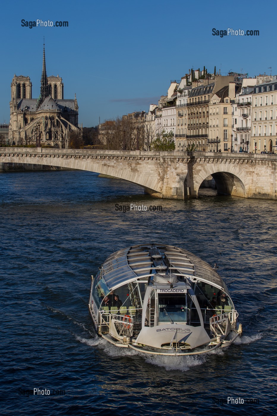 BATOBUS, PONT DE LA TOURNELLE ET NOTRE-DAME-DE-PARIS, PARIS (75), ILE-DE-FRANCE, FRANCE 