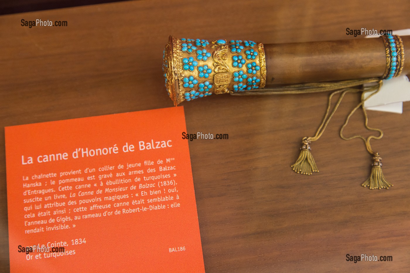 CANNE AU POMMEAU SERTI DE TURQUOISES AYANT APPARTENU A HONORE DE BALZAC QUI SUSCITA LE LIVRE 'LA CANNE DE MONSIEUR DE BALZAC', MAISON DE BALZAC, MUSEE SITUE DANS L'ANCIEN DOMICILE DE L'ECRIVAIN, 16 EME ARRONDISSEMENT, PARIS (75), ILE-DE-FRANCE, FRANCE 