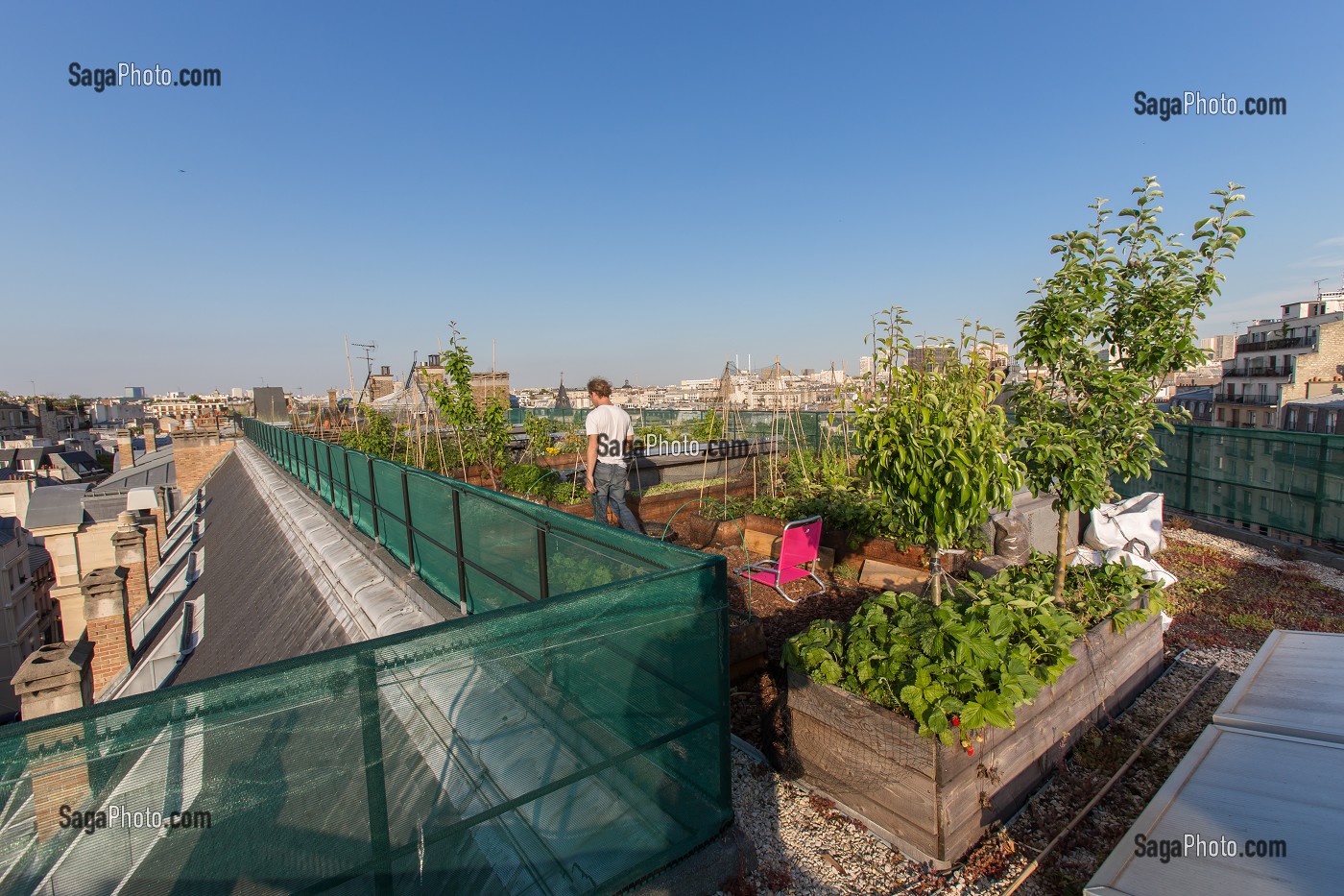 NICOLAS BEL, INGENIEUR, EXPERIMENTATION DE JARDIN SUR LE TOIT, ECOLE AGROPARISTECH, 5EME ARRONDISSEMENT, PARIS (75), FRANCE 