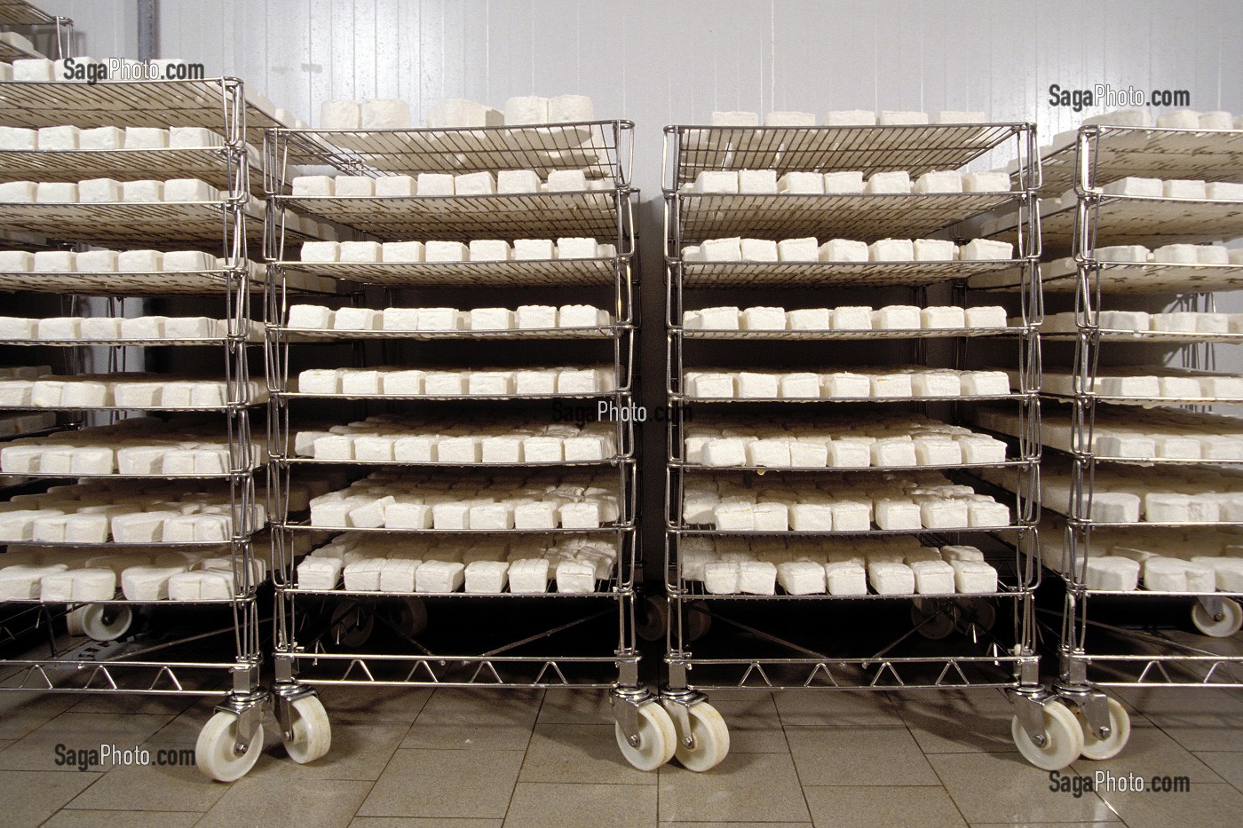 AFFINAGE DU FROMAGE DE NEUFCHATEL-EN-BRAY, PAYS DE BRAY, SEINE-MARITIME, (76), FRANCE 