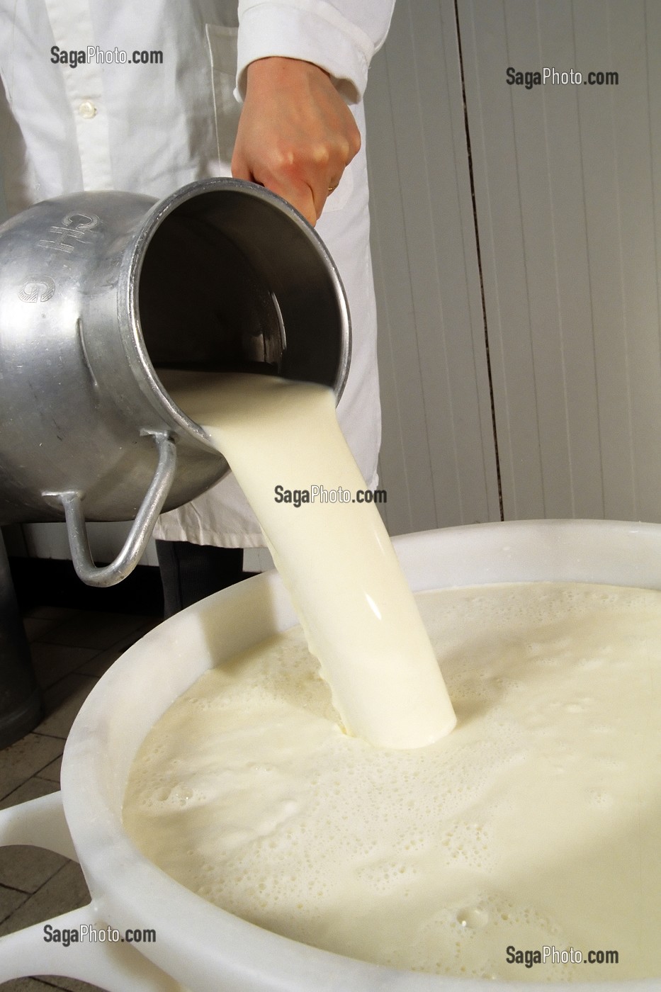 LAIT DE VACHE FRAIS POUR LA FABRICATION DU FROMAGE DE NEUFCHATEL (76), SEINE-MARITIME (76), NORMANDIE, FRANCE 