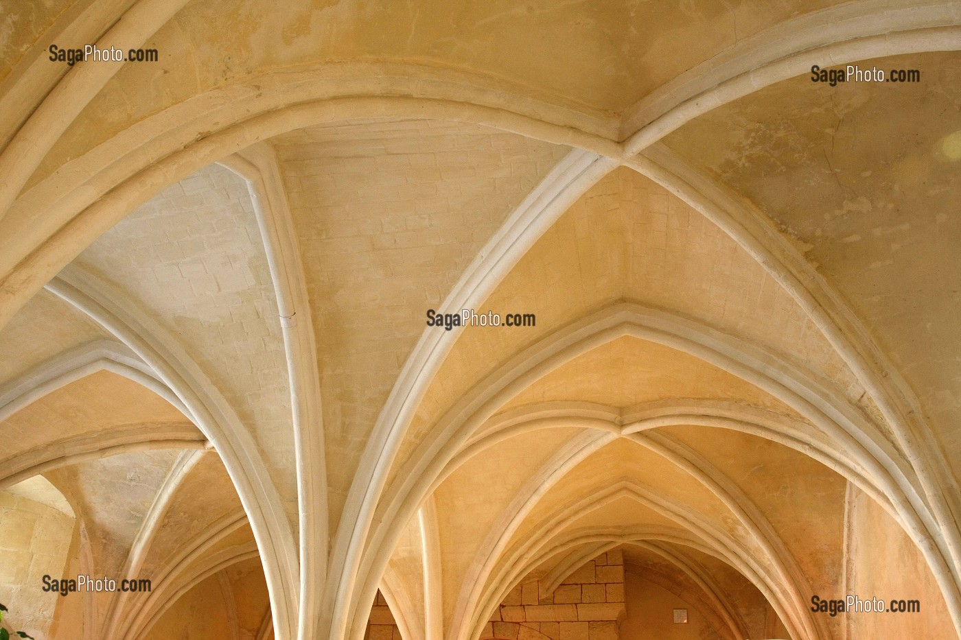 DETAIL DES VOUTES DU PLAFOND DU REFECTOIRE GOTHIQUE DU XIII EME SIECLE, INTERIEUR DE L'ABBAYE DE MONTIVILLIERS, SEINE-MARITIME (76), NORMANDIE, FRANCE 