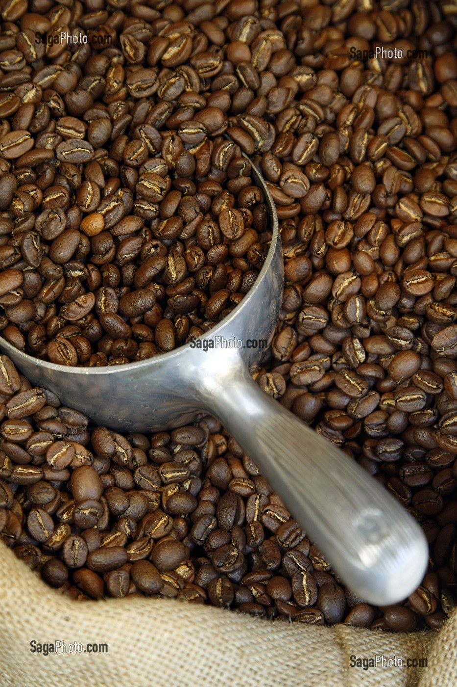 GRAINS DE CAFE TORREFIE DANS UN SAC DE TOILE DE JUTE, CAFE DUCHOSSOY, LE HAVRE, SEINE-MARITIME (76), NORMANDIE, FRANCE 