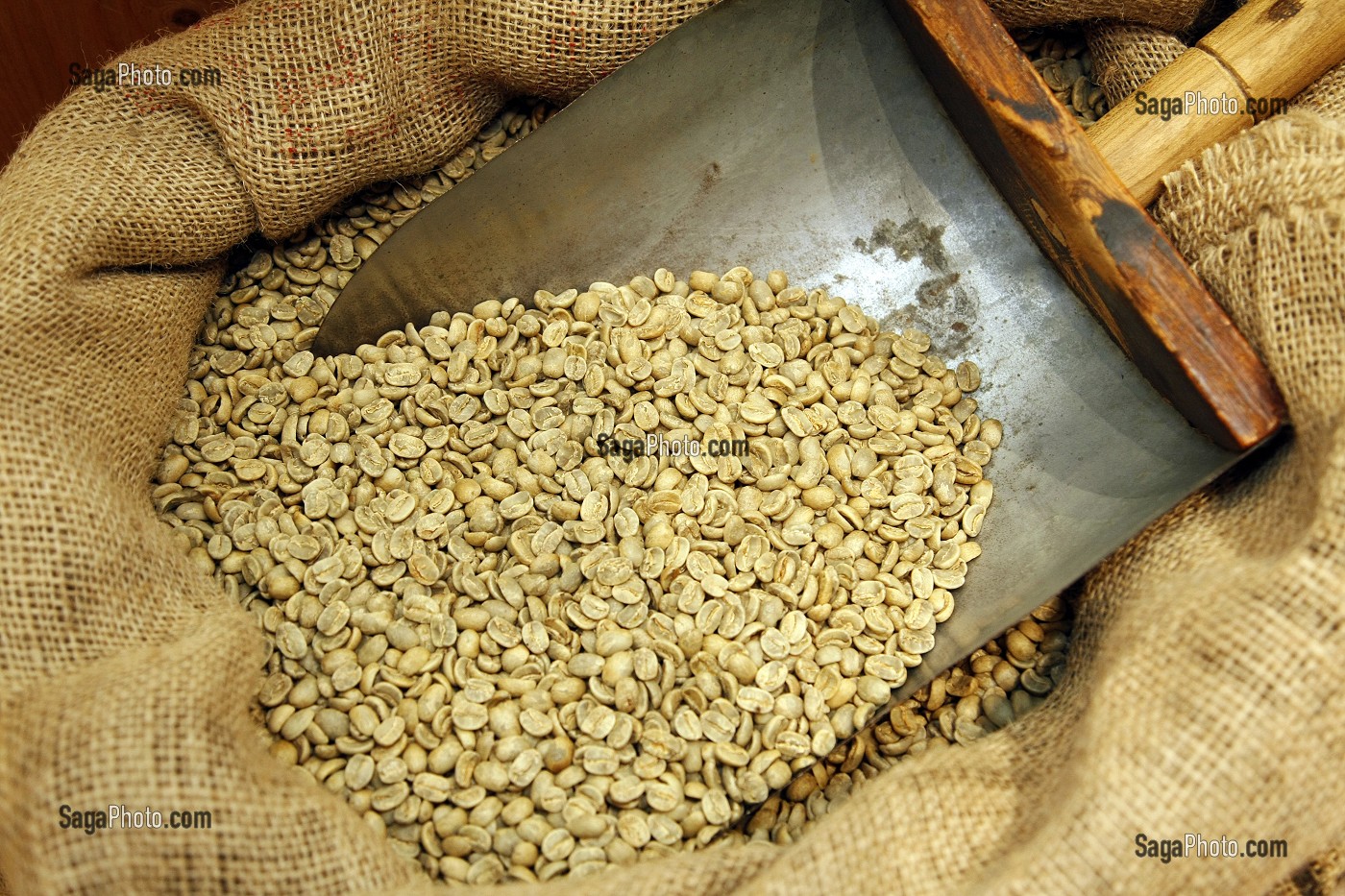 GRAINS DE CAFE NON TORREFIE DANS UN SAC DE TOILE DE JUTE, CAFE DUCHOSSOY, LE HAVRE, SEINE-MARITIME (76), NORMANDIE, FRANCE 