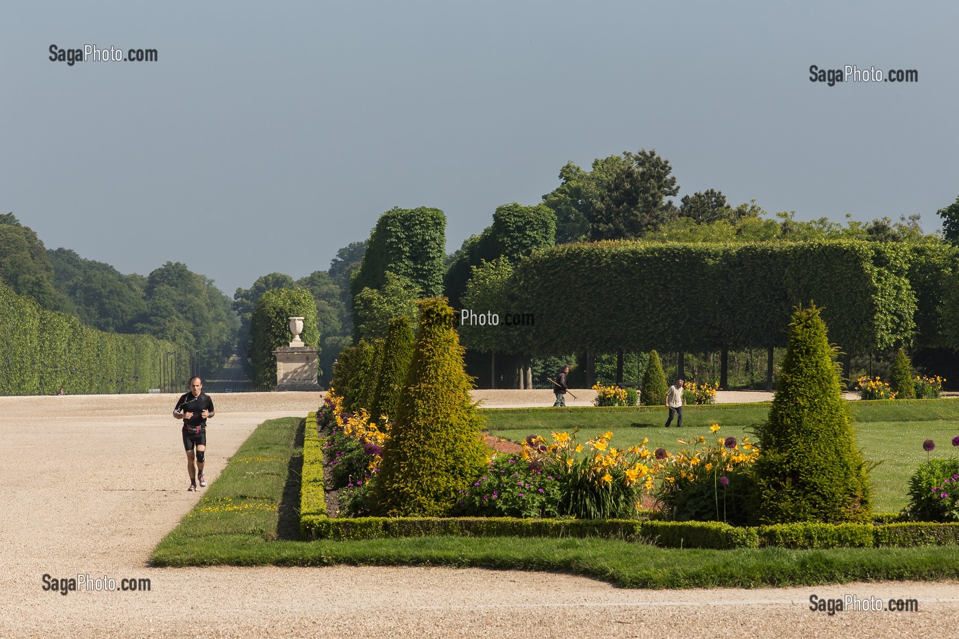 PARC DU CHATEAU DE SAINT-GERMAIN-EN-LAYE, YVELINES (78), FRANCE 