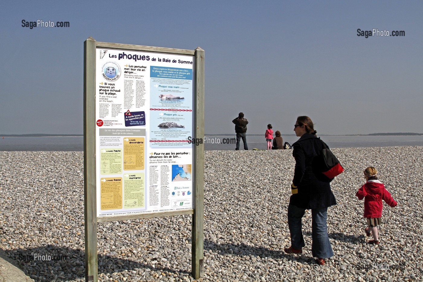 PANNEAU D'INFORMATION SUR LA DECOUVERTE DES PHOQUES DE LA BAIE DE SOMME, POINTE DE HOURDEL, CAYEUX-SUR-MER, SOMME (80), FRANCE 