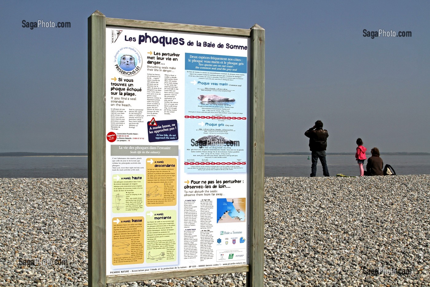 PANNEAU D'INFORMATION SUR LA DECOUVERTE DES PHOQUES DE LA BAIE DE SOMME, POINTE DE HOURDEL, CAYEUX-SUR-MER, SOMME (80), FRANCE 