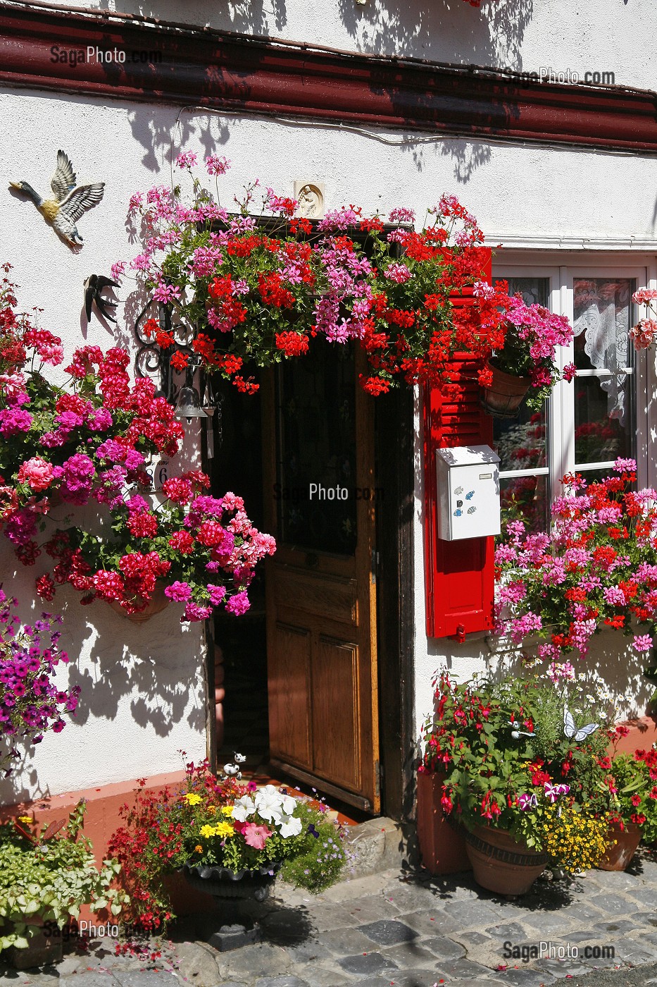 MAISON FLEURIE, SAINT-VALERY-SUR-SOMME, SOMME (80), PICARDIE, FRANCE 