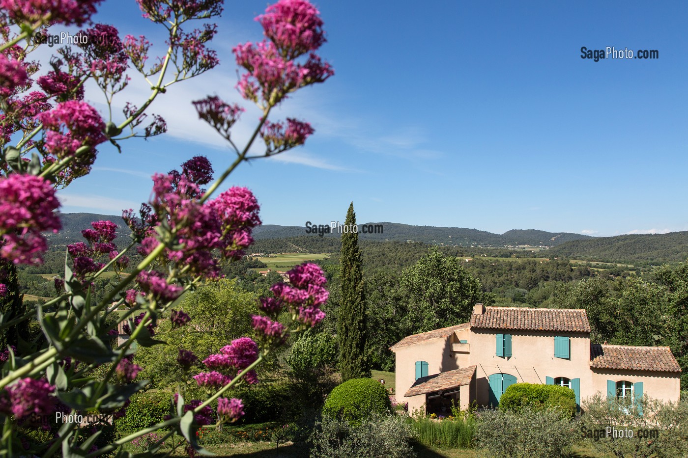 FLEURS ET CYPRES DEVANT UN MAISONS EN PIERRE, GRAMBOIS, PARC NATUREL REGIONAL DU LUBERON, VAUCLUSE (84), FRANCE 