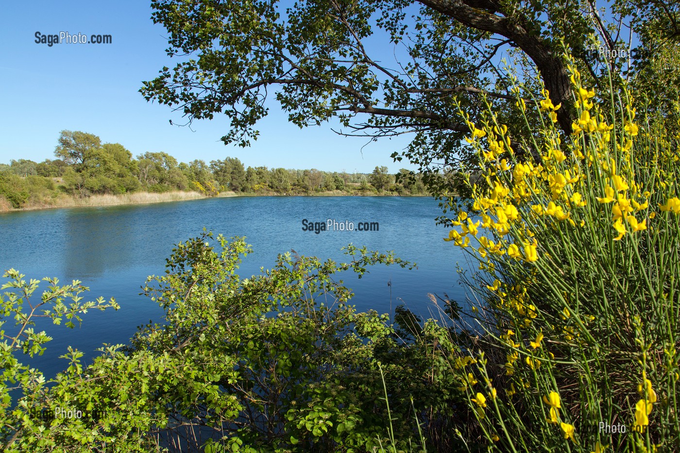 PLAN D'EAU DES SEPT LACS, BEAUMONT-DE-PERTUIS, PARC NATUREL REGIONAL DU LUBERON, VAUCLUSE (84), FRANCE 