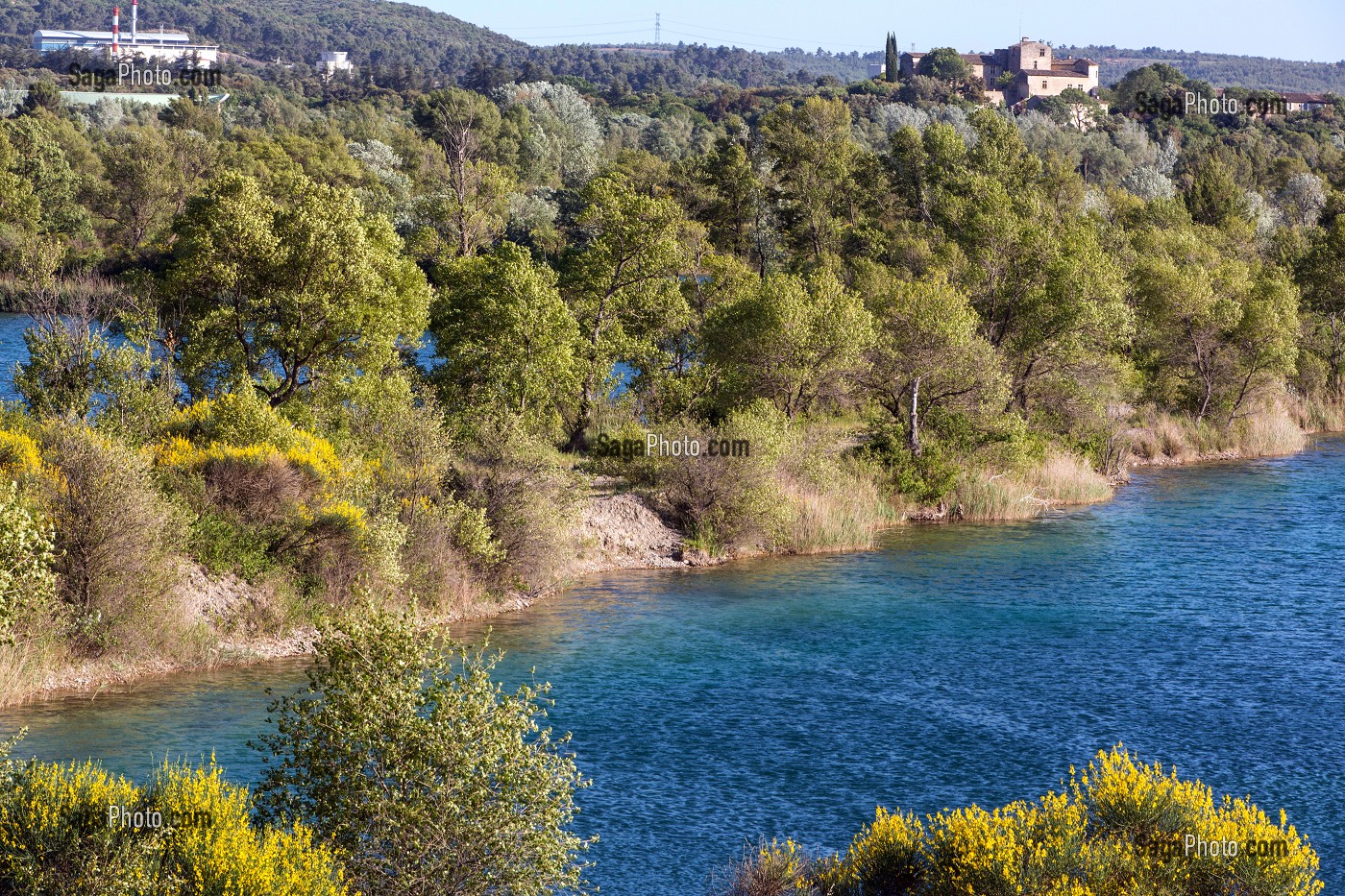 PLAN D'EAU DES SEPT LACS, BEAUMONT-DE-PERTUIS, PARC NATUREL REGIONAL DU LUBERON, VAUCLUSE (84), FRANCE 