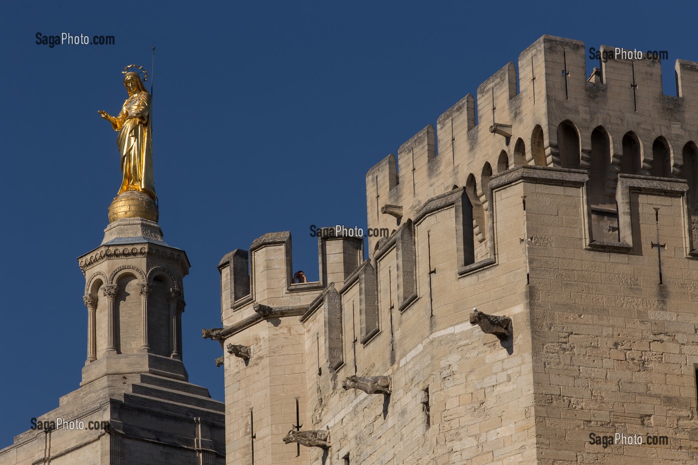 PALAIS DES PAPES, VILLE D'AVIGNON APPELEE CITE DES PAPES, VAUCLUSE (84), FRANCE 