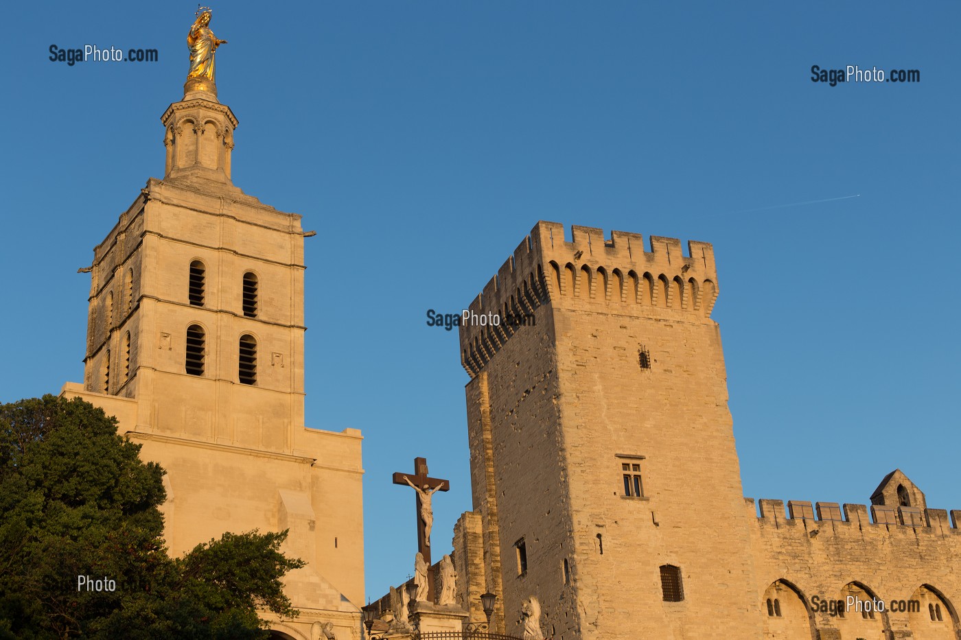 CATHEDRALE NOTRE DAME DES DOMS D'AVIGNON, VILLE D'AVIGNON APPELEE CITE DES PAPES, VAUCLUSE (84), FRANCE 