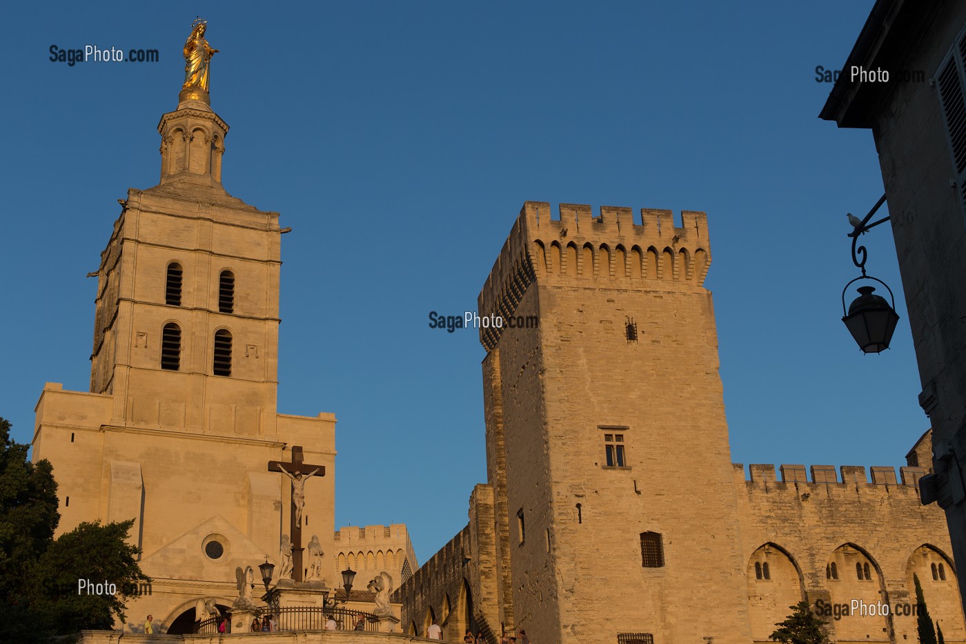 CATHEDRALE NOTRE DAME DES DOMS D'AVIGNON, VILLE D'AVIGNON APPELEE CITE DES PAPES, VAUCLUSE (84), FRANCE 