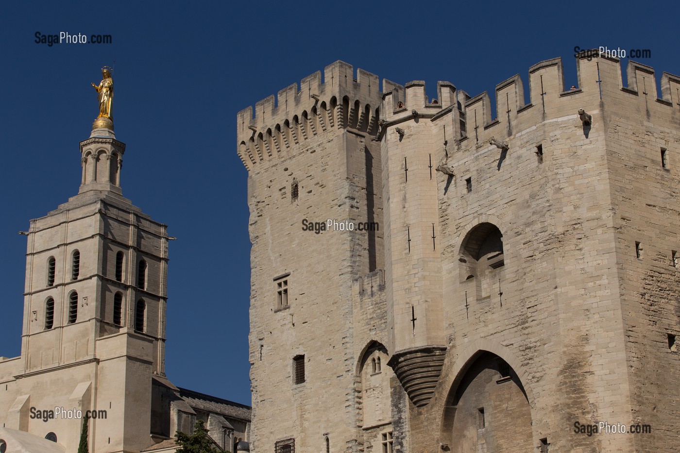 CATHEDRALE NOTRE DAME DES DOMS D'AVIGNON, VILLE D'AVIGNON APPELEE CITE DES PAPES, VAUCLUSE (84), FRANCE 
